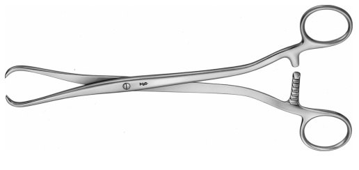 AE-EO171R, KÜSTNER, UTERINE TENACULUM FORCEPS 2X3 TEETH 250 mm, 10"