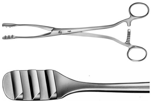 Noto Polypus and Ovum Forceps 