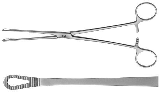 Noto Polypus and Ovum Forceps 