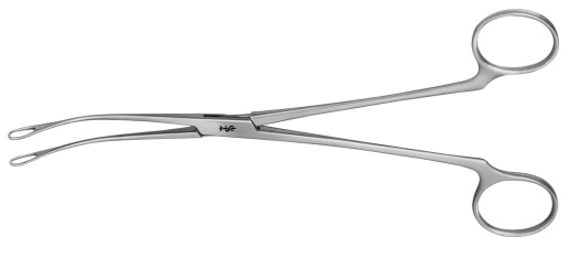 AE-EB221R, BLAKE, GALL STONE FORCEPS CURVED 205 mm, 8″ – AUSTOS