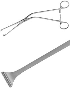 AE-EF163R, MILLIN, LOBE GRASPING FORCEPS 245 mm, 9 3/4"