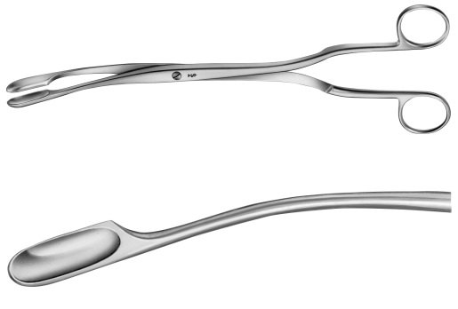 AE-ET306R, WINTER, PLACENTA AND OVUM FORCEPS FIGURE 1, CURVED 290 mm, 11 1/2"