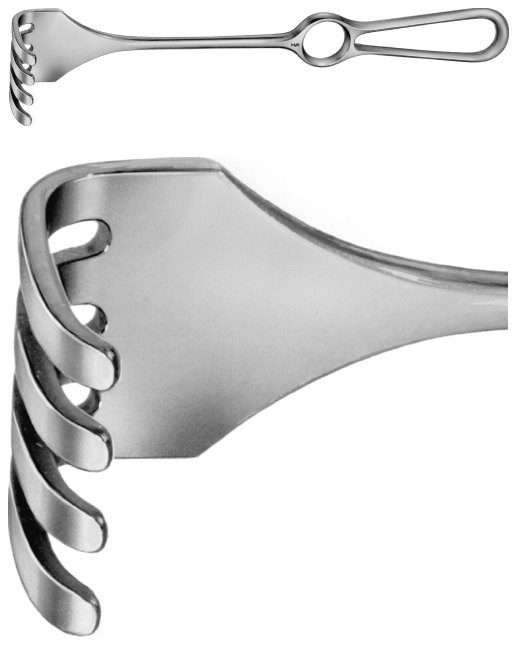 AE-BT284R, ISRAEL, RETRACTOR, 4-PRONGS, BLUNT, 39x40MM, 255 mm, 10"