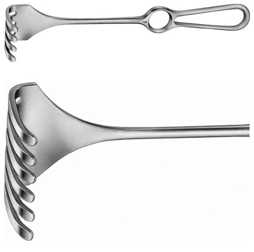 AE-BT286R, ISRAEL, RETRACTOR 6 PRONGS, BLUNT, 53 x 62 MM 255 mm, 10"