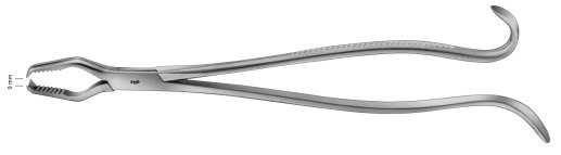 AE-FO151R, LANE, BONE HOLDING FORCEPS, 9 MM, 330 mm, 13 1/8"