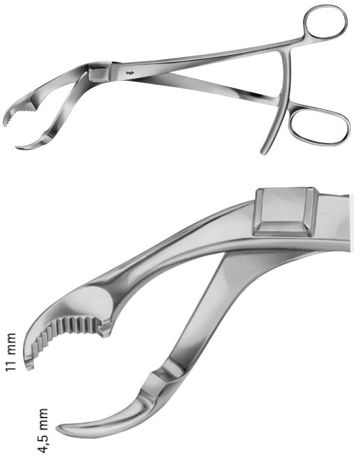 AE-FO182R, VERBRUGGE, BONE HOLDING FORCEPS, with lip joint, 265 mm, 10 1/2"