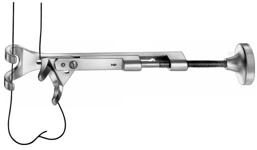 AE-FO193R, LOWMAN- HOGLUND BONE CLAMP, 175 mm, 7"