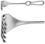 AE-BT285R, ISRAEL, RETRACTOR, 5-PRONGS, BLUNT, 47X51MM, 255 mm, 10"