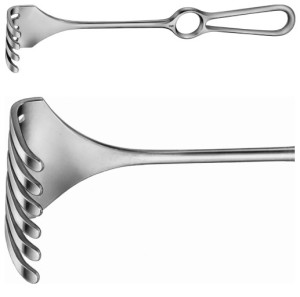 AE-BT286R, ISRAEL, RETRACTOR 6 PRONGS, BLUNT, 53 x 62 MM 255 mm, 10"