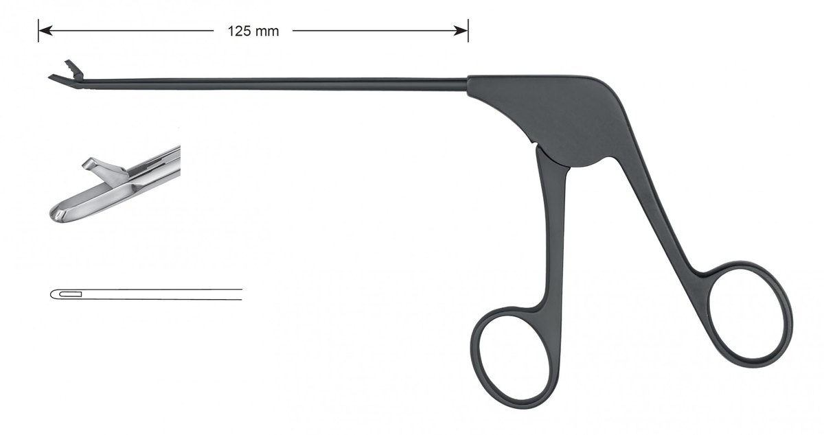 LW-49-1210-C, Punches with ceramic coating, Diameter of the shaft 3.6 x 4.1 mm, Width of bite 1.65 mm, Width of jaws 3.8 mm, straight/ straight, working length 125 mm